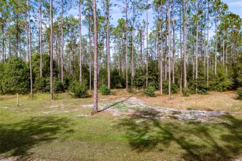 Terreno en venta en Lutz, Florida № 1275247 - foto 12