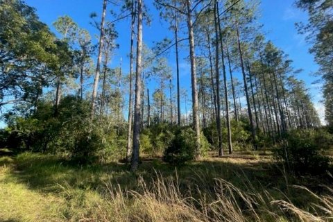 Terreno en venta en Lutz, Florida № 1275247 - foto 3