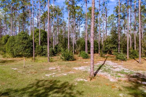 Terreno en venta en Lutz, Florida № 1275247 - foto 11