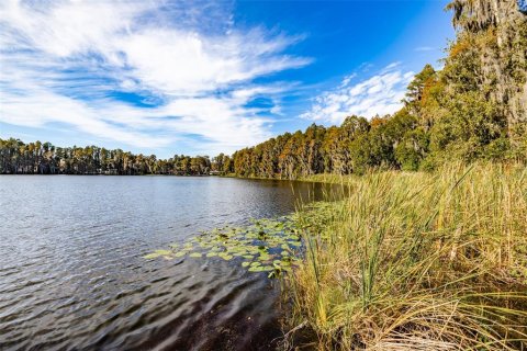 Terreno en venta en Lutz, Florida № 1275247 - foto 2