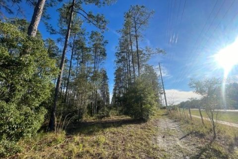 Terreno en venta en Lutz, Florida № 1275247 - foto 8