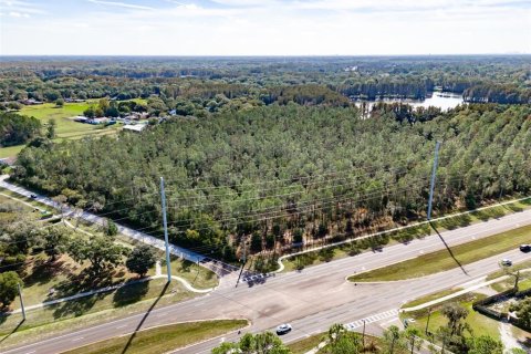 Terreno en venta en Lutz, Florida № 1275247 - foto 18