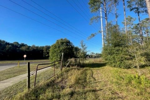 Terreno en venta en Lutz, Florida № 1275247 - foto 17