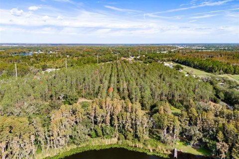 Terreno en venta en Lutz, Florida № 1275247 - foto 25