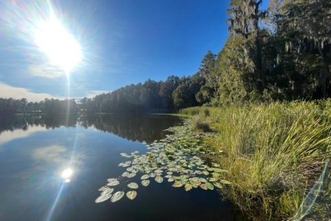 Land in Lutz, Florida № 1275247 - photo 27