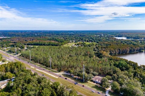 Terreno en venta en Lutz, Florida № 1275247 - foto 15