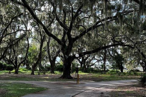 Villa ou maison à vendre à Lake Wales, Floride: 1 chambre, 60.2 m2 № 1383165 - photo 30