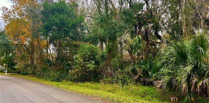 Terrain à Ormond Beach, Floride № 1295359