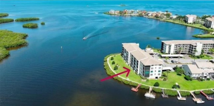 Condo à Port Richey, Floride, 2 chambres  № 1165894