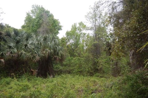 Land in DeLand, Florida № 647416 - photo 3