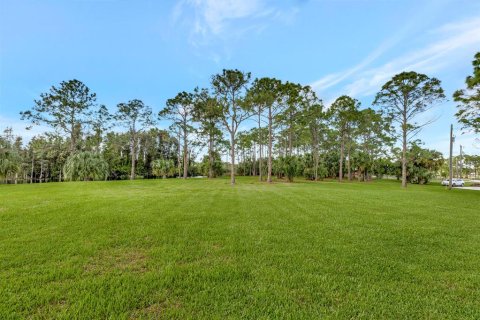 Купить земельный участок в Палм Сити, Флорида № 510549 - фото 6