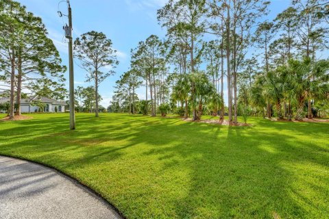 Купить земельный участок в Палм Сити, Флорида № 510549 - фото 8