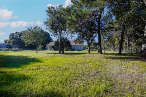 House in Kissimmee, Florida 3 bedrooms, 227.7 sq.m. № 1371751 - photo 20