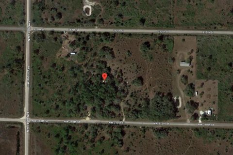 Land in Okeechobee, Florida № 1334815 - photo 2