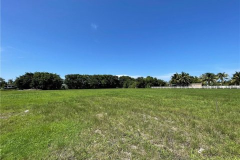 Купить земельный участок в Саутвест-Ранчес, Флорида № 913029 - фото 9