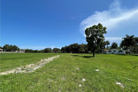 Купить земельный участок в Саутвест-Ранчес, Флорида № 913029 - фото 8