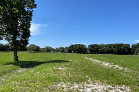 Купить земельный участок в Саутвест-Ранчес, Флорида № 913029 - фото 6