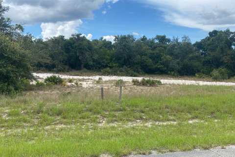 Land in Kissimmee, Florida № 1285153 - photo 1