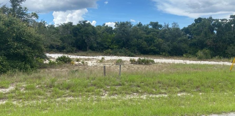 Land in Kissimmee, Florida № 1285153