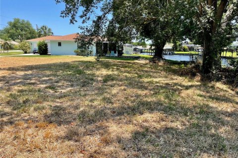 Terreno en venta en Lake Placid, Florida № 1285201 - foto 9