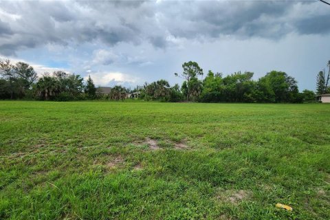 Land in Cape Coral, Florida № 1308718 - photo 5