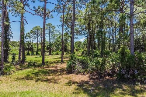 Terreno en venta en Port Charlotte, Florida № 1170853 - foto 2