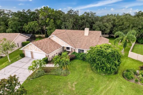 Villa ou maison à vendre à Odessa, Floride: 4 chambres, 340.58 m2 № 1343154 - photo 4