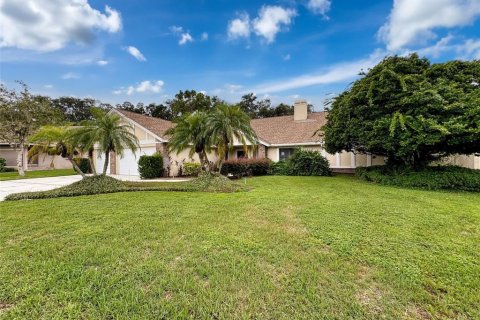 Villa ou maison à vendre à Odessa, Floride: 4 chambres, 340.58 m2 № 1343154 - photo 2