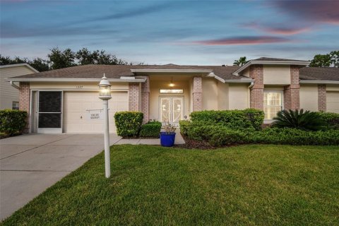 Villa ou maison à vendre à Trinity, Floride: 2 chambres, 176.79 m2 № 1361147 - photo 1