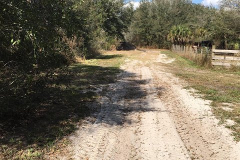 Land in Okeechobee, Florida № 1228578 - photo 3