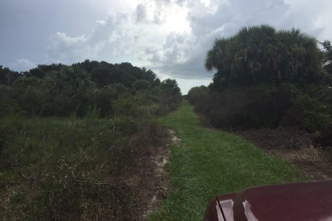 Land in Okeechobee, Florida № 1228578 - photo 2