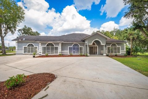 Villa ou maison à vendre à Jacksonville, Floride: 4 chambres, 673.17 m2 № 1187811 - photo 2