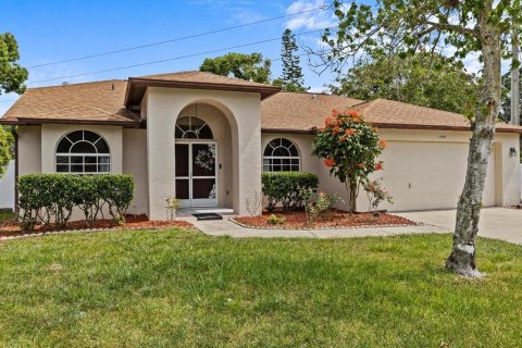 Villa ou maison à vendre à Palm Harbor, Floride: 3 chambres, 160.44 m2 № 1341355 - photo 1