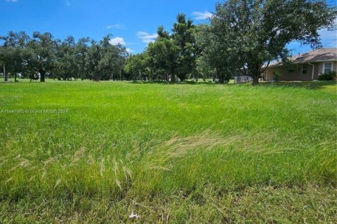 Land in Cape Coral, Florida № 1319297 - photo 3