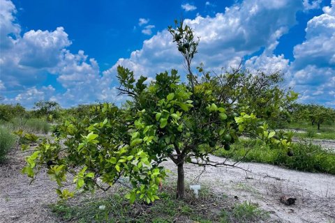 Terreno en venta en Punta Gorda, Florida № 1296147 - foto 4