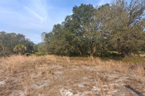 Land in Okeechobee, Florida № 1011860 - photo 22