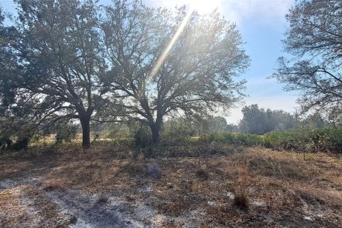 Land in Okeechobee, Florida № 1011860 - photo 18