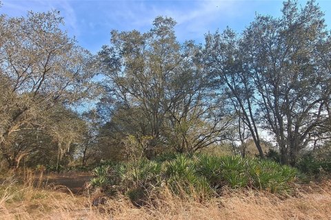 Land in Okeechobee, Florida № 1011860 - photo 7