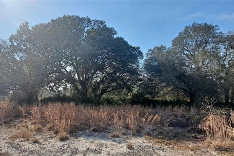 Land in Okeechobee, Florida № 1011860 - photo 9