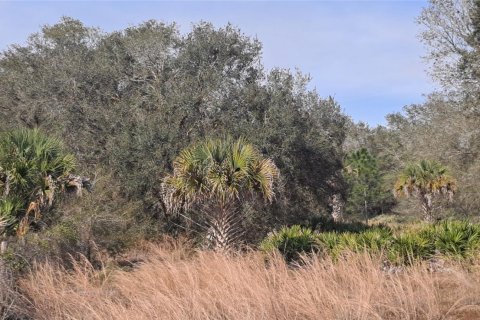 Land in Okeechobee, Florida № 1011860 - photo 21