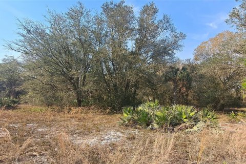 Land in Okeechobee, Florida № 1011860 - photo 1