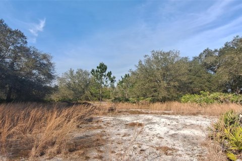 Land in Okeechobee, Florida № 1011860 - photo 10