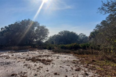 Land in Okeechobee, Florida № 1011860 - photo 3