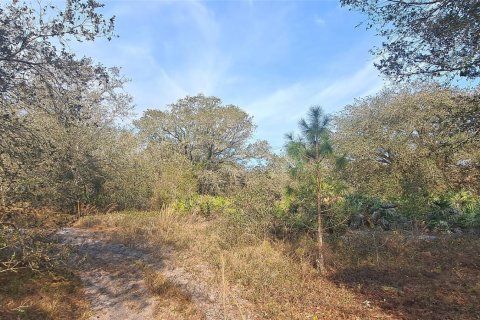 Land in Okeechobee, Florida № 1011860 - photo 16