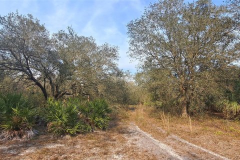 Land in Okeechobee, Florida № 1011860 - photo 17