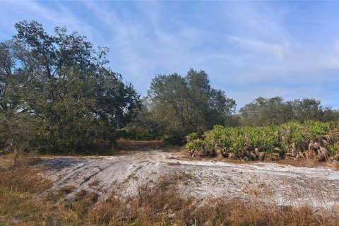 Land in Okeechobee, Florida № 1011860 - photo 24