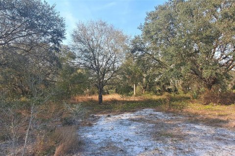 Land in Okeechobee, Florida № 1011859 - photo 11