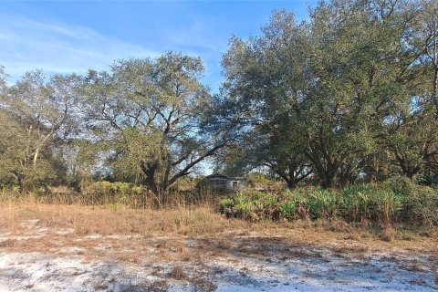 Land in Okeechobee, Florida № 1011859 - photo 22