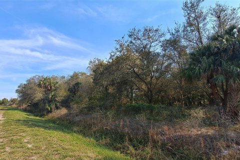 Land in Okeechobee, Florida № 1011859 - photo 30