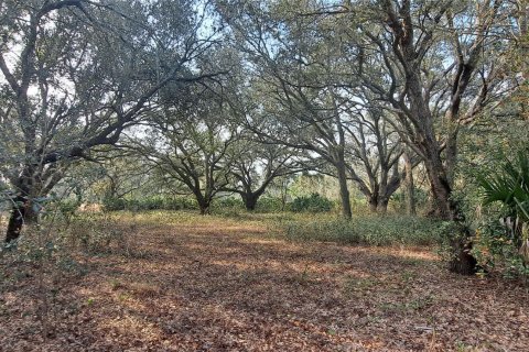 Land in Okeechobee, Florida № 1011859 - photo 2